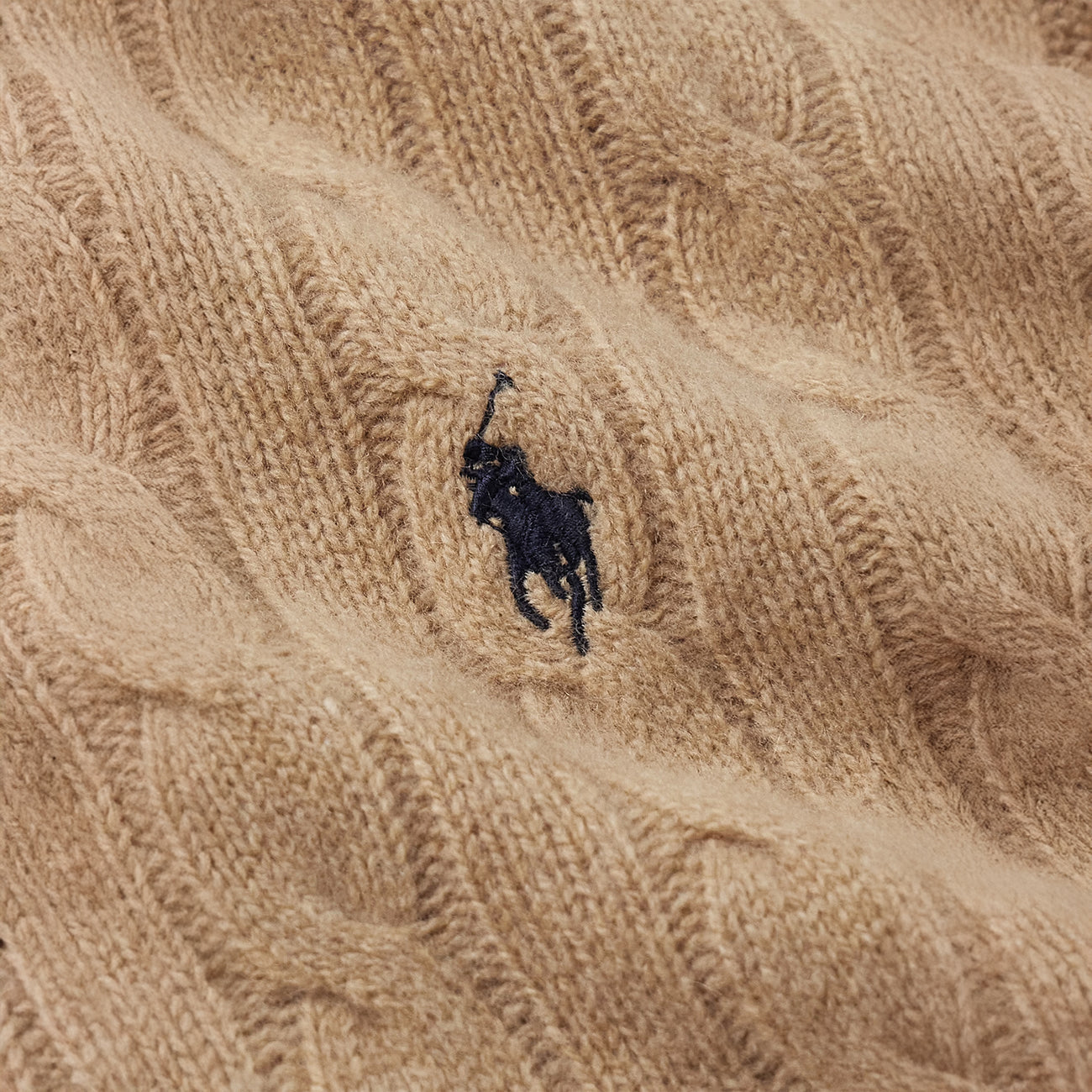 Ꮢalph Lauren Sweater – Limited Edition